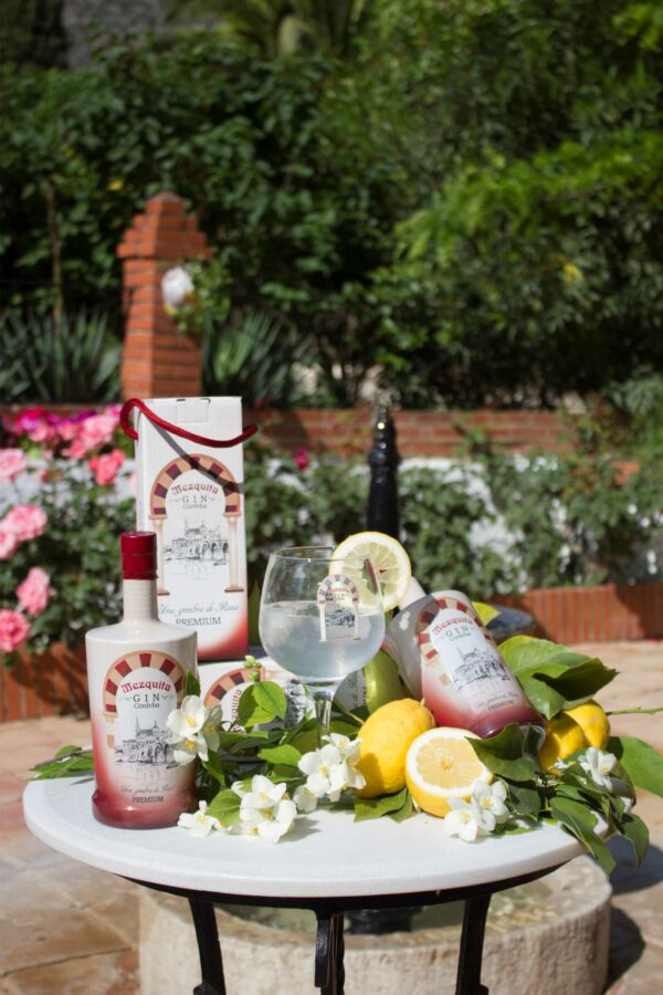 Mezquita Gin Córdvba - Imagen 6