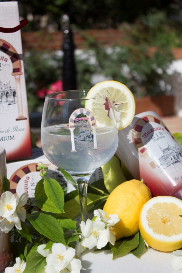 Mezquita Gin Córdvba - Imagen 8