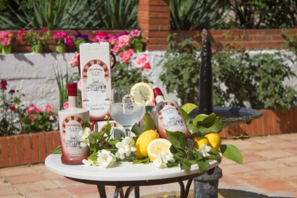 Mezquita Gin Córdvba - Imagen 9